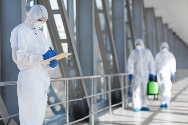 Biohazard Mold Removal in Harlem Heights, FL