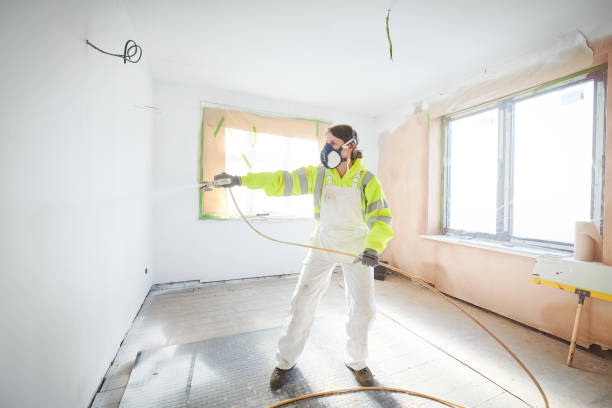 Best Mold Odor Removal Services  in Harlem Heights, FL