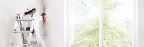 Best Forensic Mold Investigation  in Harlem Heights, FL