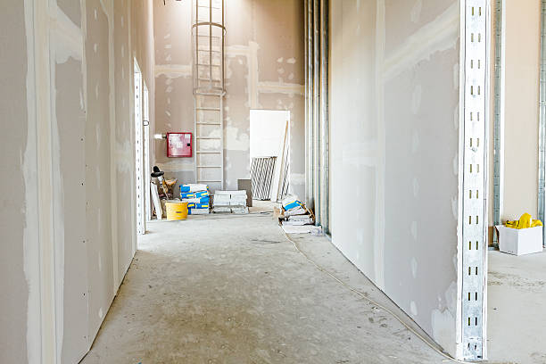 Best Emergency Mold Remediation  in Harlem Heights, FL