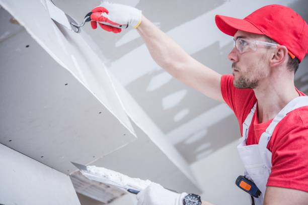 Mold Odor Removal Services in Harlem Heights, FL